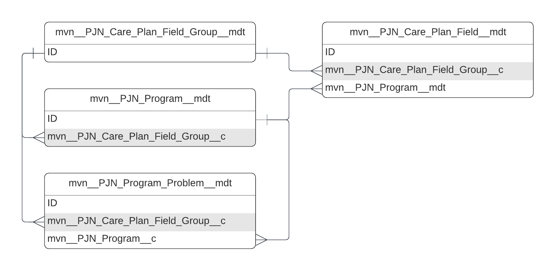 mvn__PJN_Care_Plan_Field_Group__mdt ERD