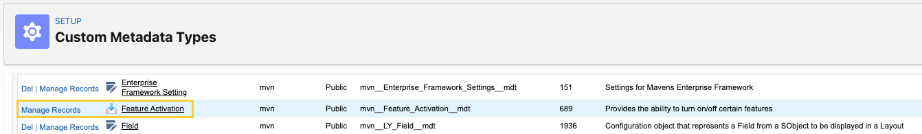 Feature Activation row highlighted in the Custom Metadata Types list in Setup